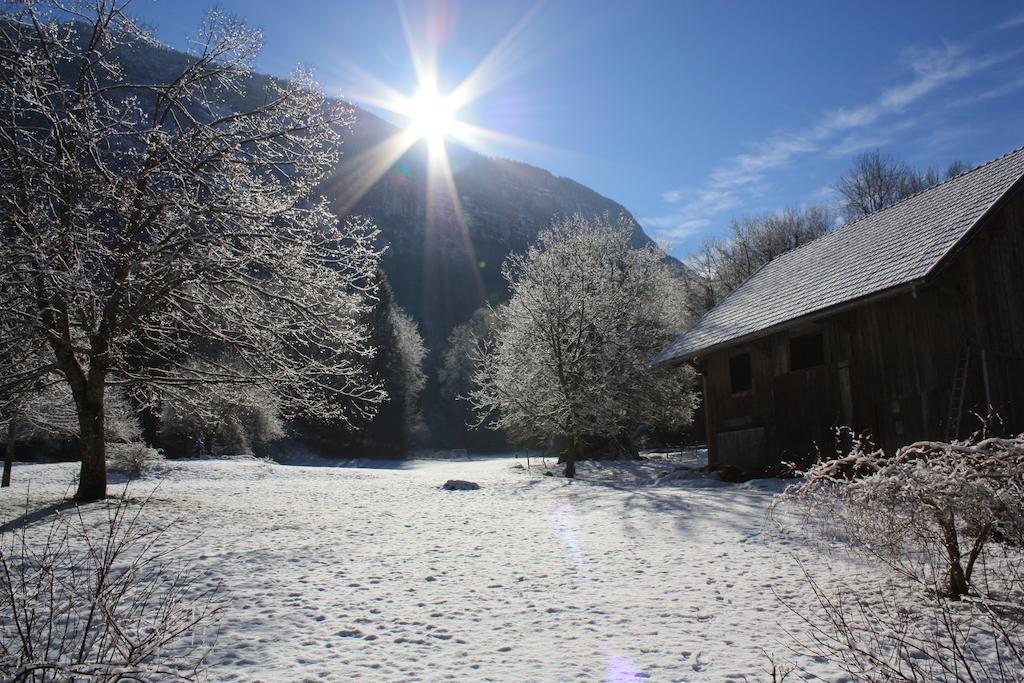 Bed and Breakfast La Clairiere Du Moulin Lepin-le-Lac Exterior foto